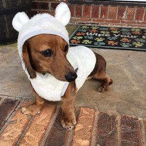 Cute Adorable Funny Fuzzy Bear Dog Pet Costume Hooded Fleece Sweater